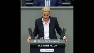 Weidel: Der Außenminister missachtet deutsche Interessen!