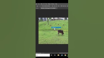 How to use content aware fill to remove an object from photo#shorts