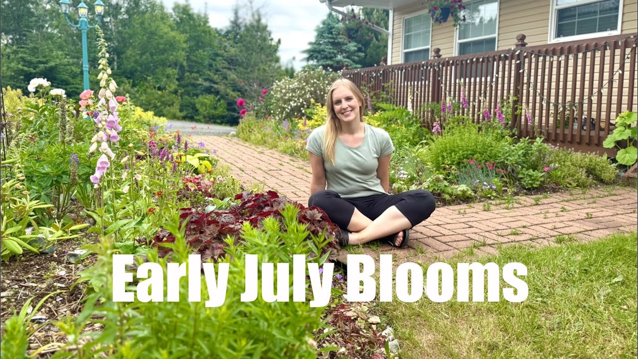 What’s Blooming in Early July 2025. Zone 5b, Newfoundland.