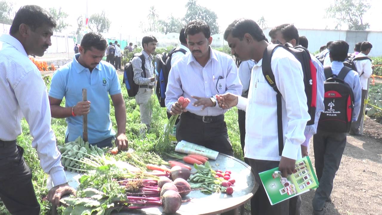 Kalash Seeds Dealer's  & Farmer's Taking Information About Beetroot & Carrot Variety