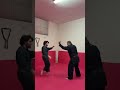 KENPO-AIKIJUTSU CONCATENAZIONI AVANZATE. MAESTRO 6° DAN LUCIO PICCIOLI MSP ARTI MARZIALI AREZZO