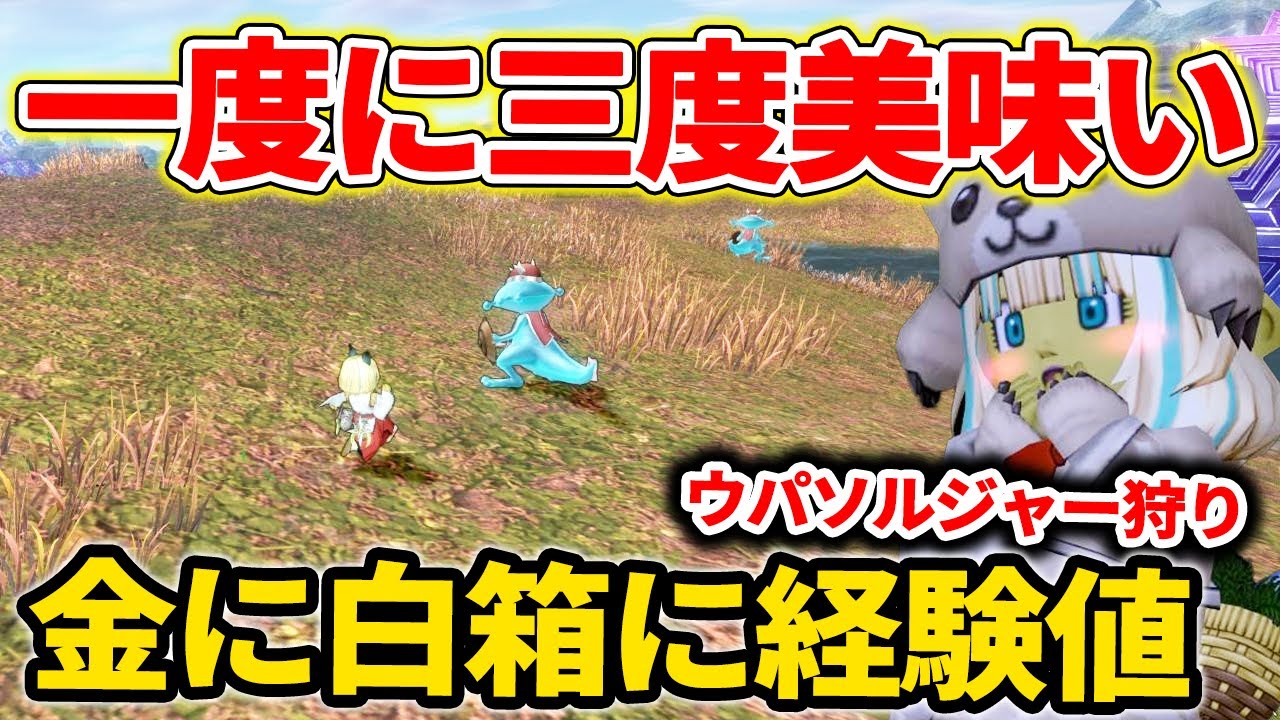 ドラクエ10 Ver7でレベル上げをしながら白箱と金策も同時に出来るモンスターが発見された！？実際にやってみた結果