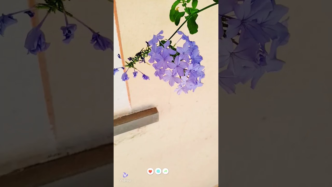 Ты должен терпеть зло 