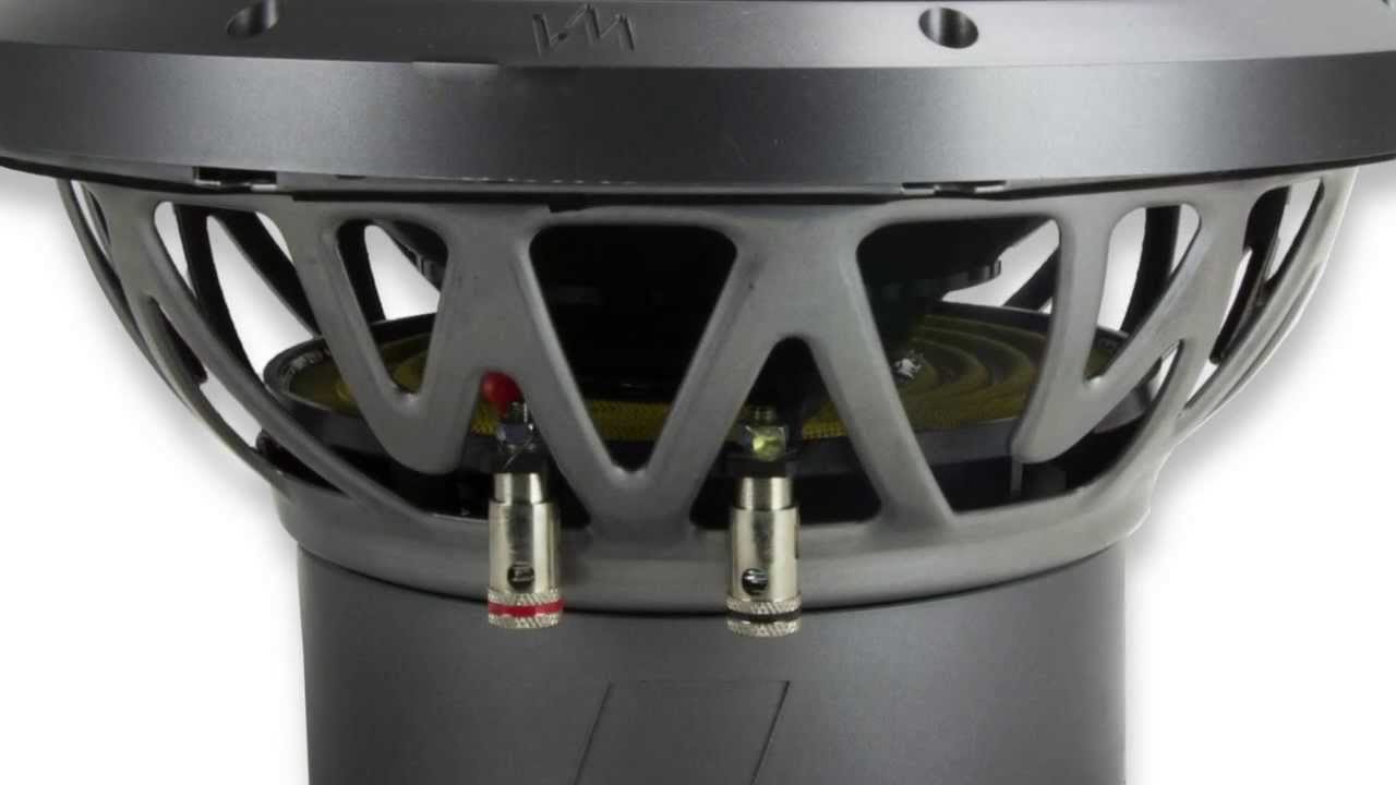 VM Audio Elux 10-Inch Competition Subwoofer | EXW10 - YouTube