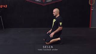 Floor Resting Postures: Ground Based Movement (9/13) - TTT Movement Database