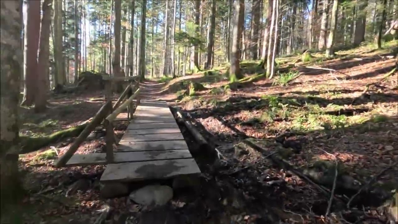 Rando 1er Novembre 2024