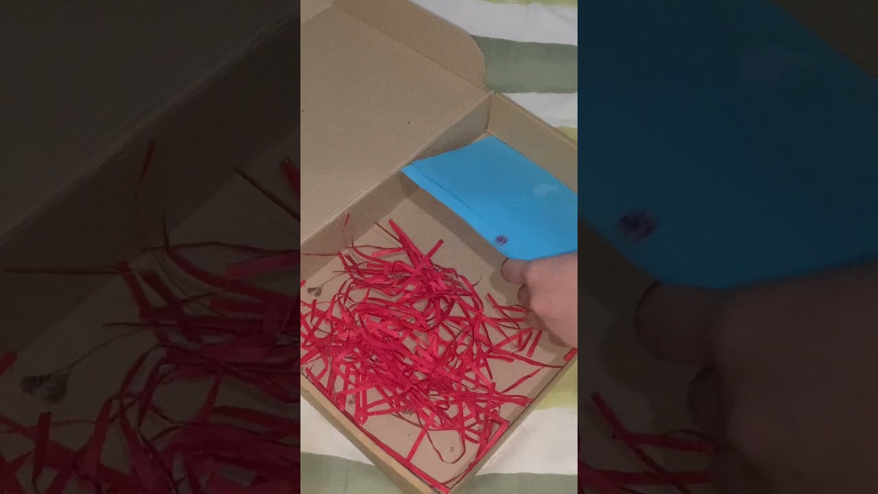 TIKTOK TREND - Sentimental video