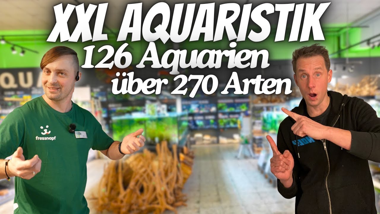 Riesige 12.000 Liter Aquaristik-Abteilung & Jede Menge SELTENE FISCHE