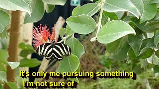 Elusive Butterfly - Bob Lind - (covertune)