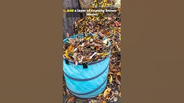 The Lazy Way to Perfect Soil No Lifting