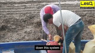 Cases study on Jet Seed
