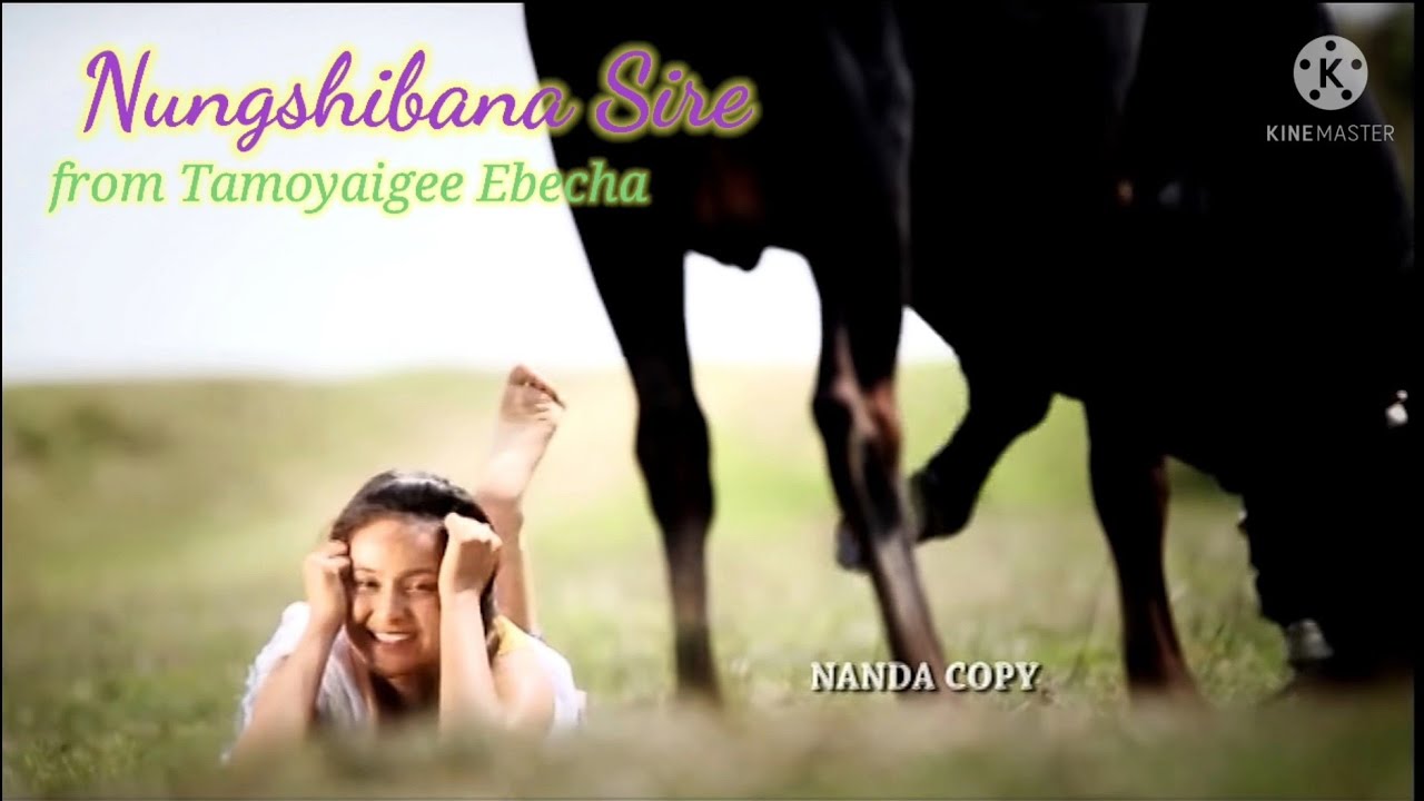 Nungshibana Sire Manipuri Song Officially Released  Film  Tamoyaigee Ebecha 