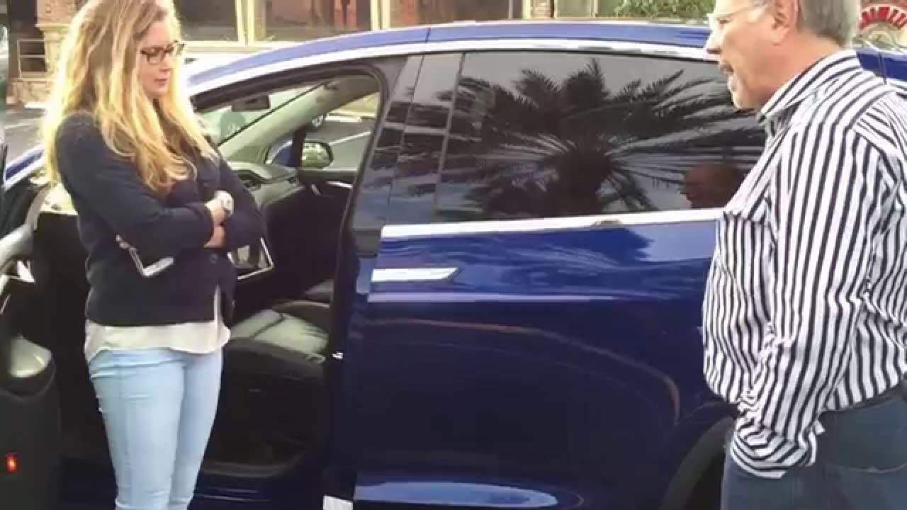 Model X Falcon Doors Explained