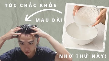 Hướng dẫn ủ tóc bằng nước vo gạo | Series dưỡng tóc giá 0 đồng | Toàn Tóc Tai