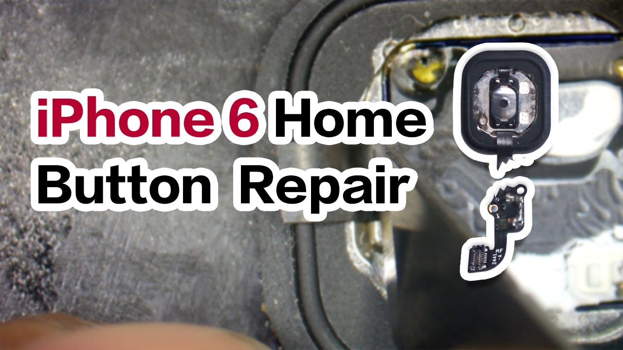 10+ How to open iphone 6 when home button is broken information
