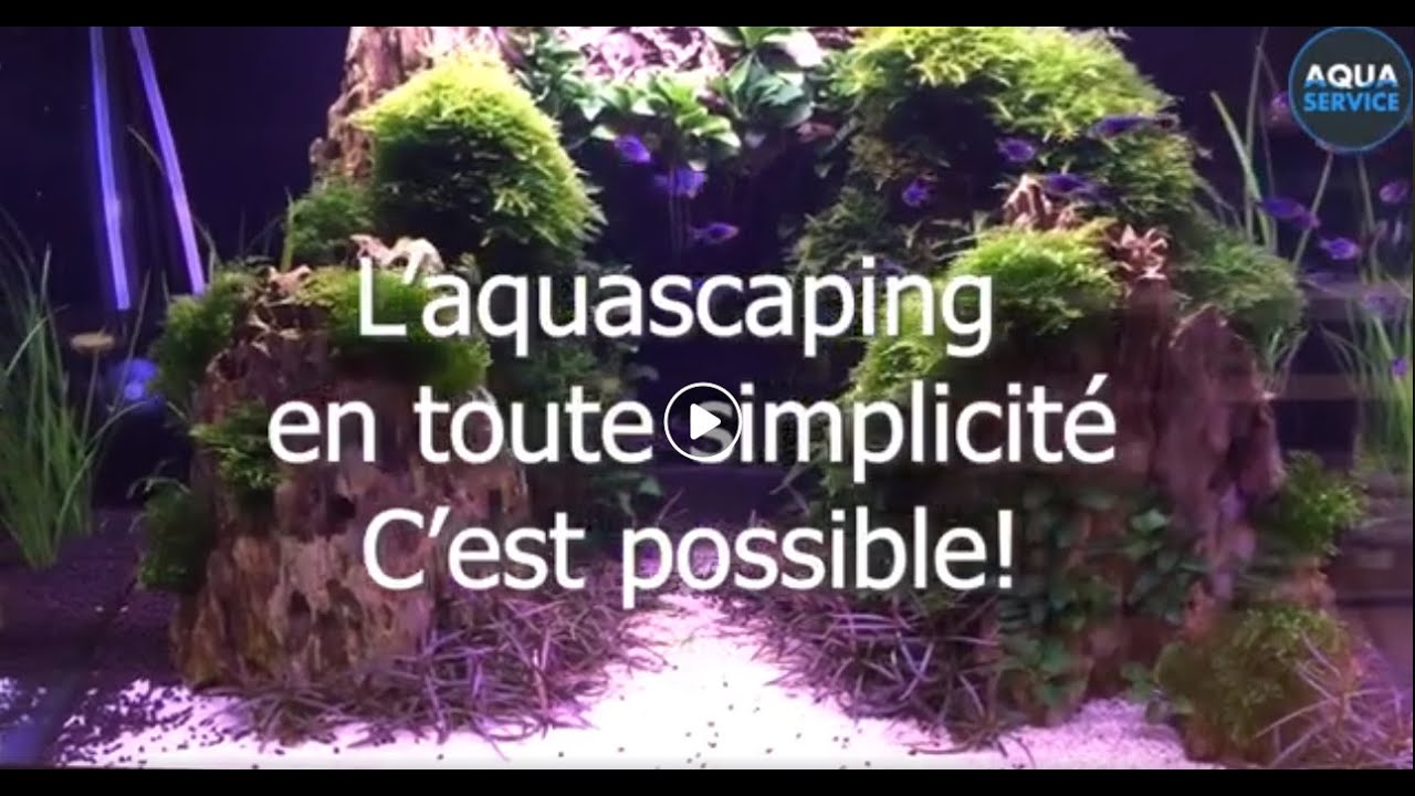 Aquascaping Oase Highline 175