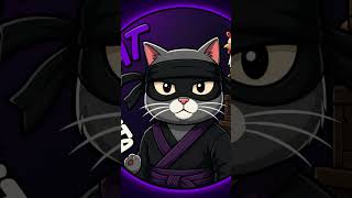 cat ninja