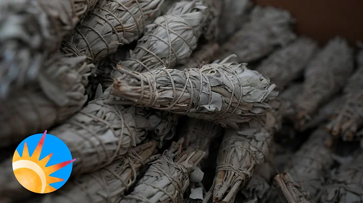 What did the natives use white sage for? (2023)