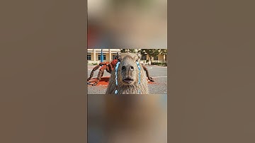 HÙNG TRỌC CHO NHỆN CAPY TẮM BỘT ỚT VÀ NHẬN NGHIỆP NGAY SAU ĐÓ #capybara #shorts