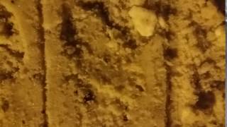 20170108 203248 1