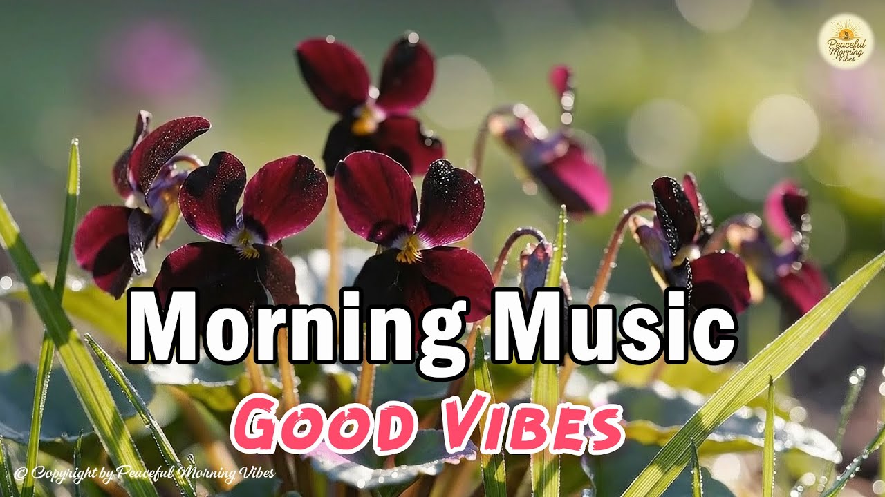 Good Vibes Music for a Fresh Morning - Cha Cha Guitar, Latin Rumba Instrumental Melodies