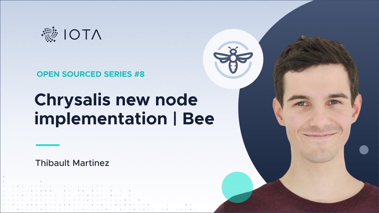 Open Sourced Series #8: Chrysalis new node implementation | Bee - Thibault Martinez