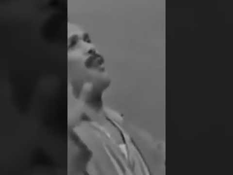 عفريت مراتى الجوزاء