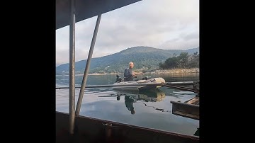 Câu cá Lóc Bông trên Sông Đà phần 3#Shorts