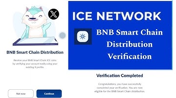 BNB Smart Chain Distribution Verification in ice network