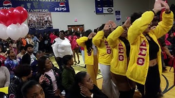 LZ University Of Alabama 2017