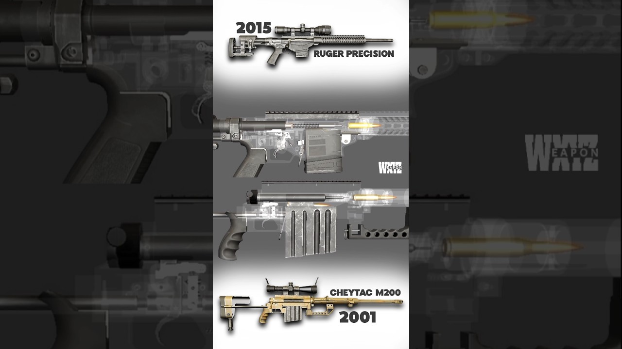 Cheytac M200 x Ruger Precision Rifle