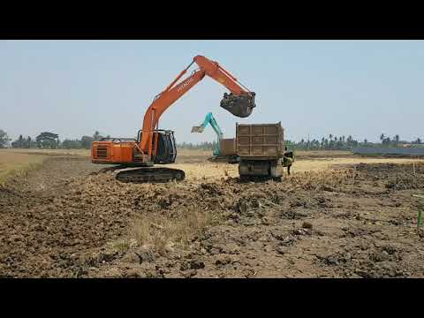 Proses pematangan lahan