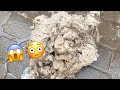 What comes out of your carpets after washing *Gathering Huge Pile of Dirt!!*