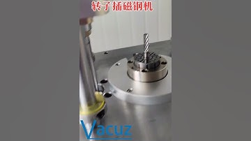 Vacuz Sale Automatic BLDC Brushless Motor Stator Rotor Coil Magnet Steel Insertion Assembly Machine