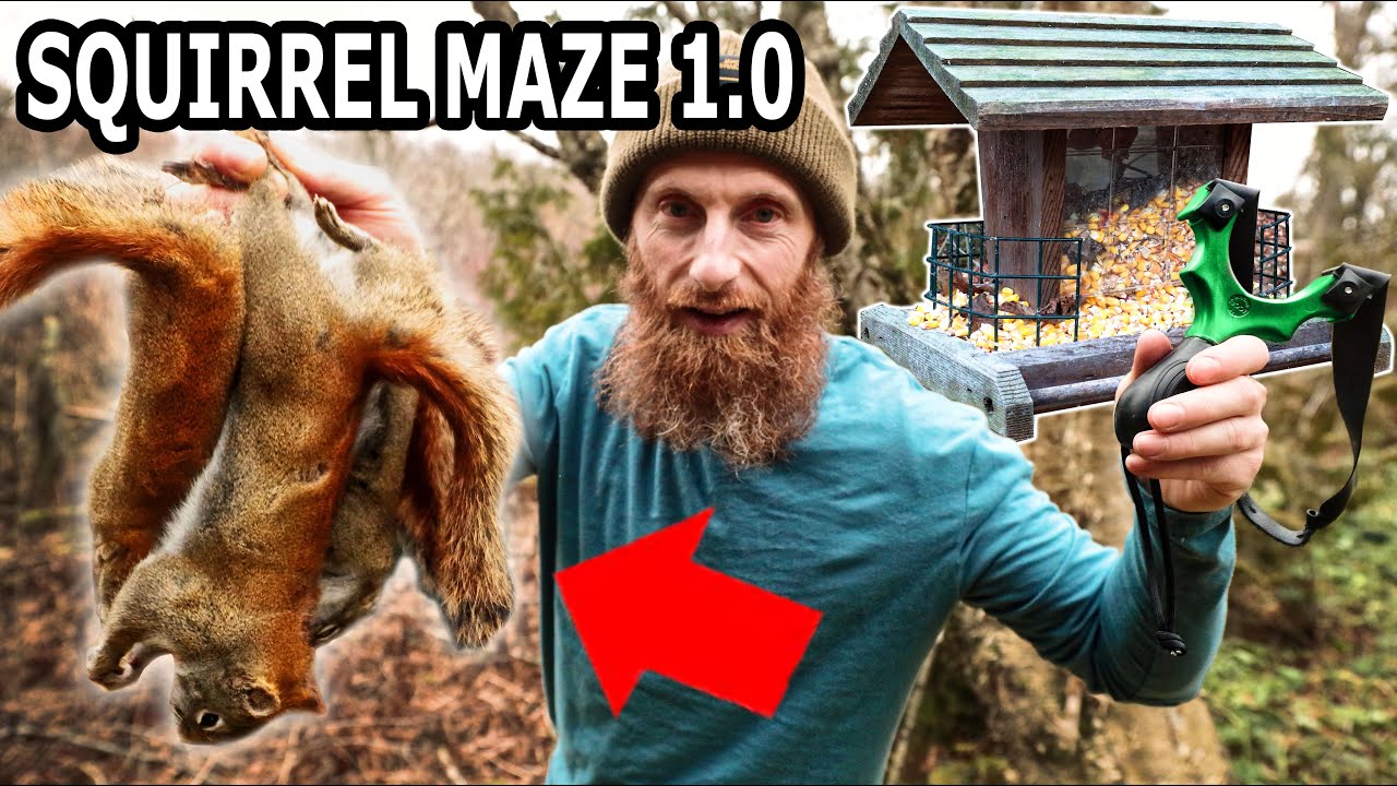 Slingshot Squirrel Hunt in the Canadian Forest ASMR (natural sounds