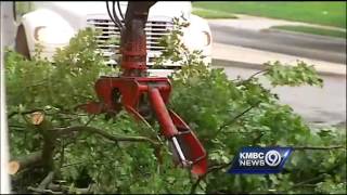 Crews clean up debris from powerful morning storms