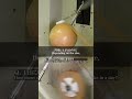 【機械技】自動玉貼り機｜花火製作の裏側 Japanese fireworks craftsman