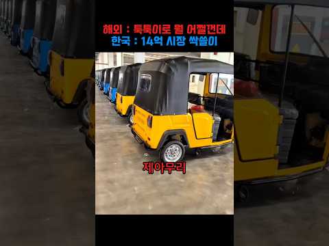 세계 완성차들이 외면한 인도 뒷골목 시장에 <strong>현대차가</strong> 뛰어든 이유