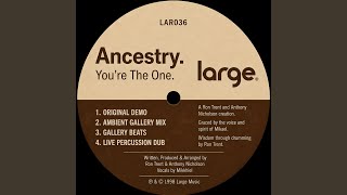 You're The One (Ambient Gallery Remix)