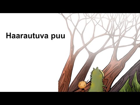 Video: Haarautuva Luudatikku