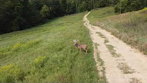 Drone shots of one of our First Class Trophies.