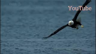 ||trust me||Daffibreezy||music||clip||originalsoundbyDaffibreezy||trendingmusicvideo||song||latest||