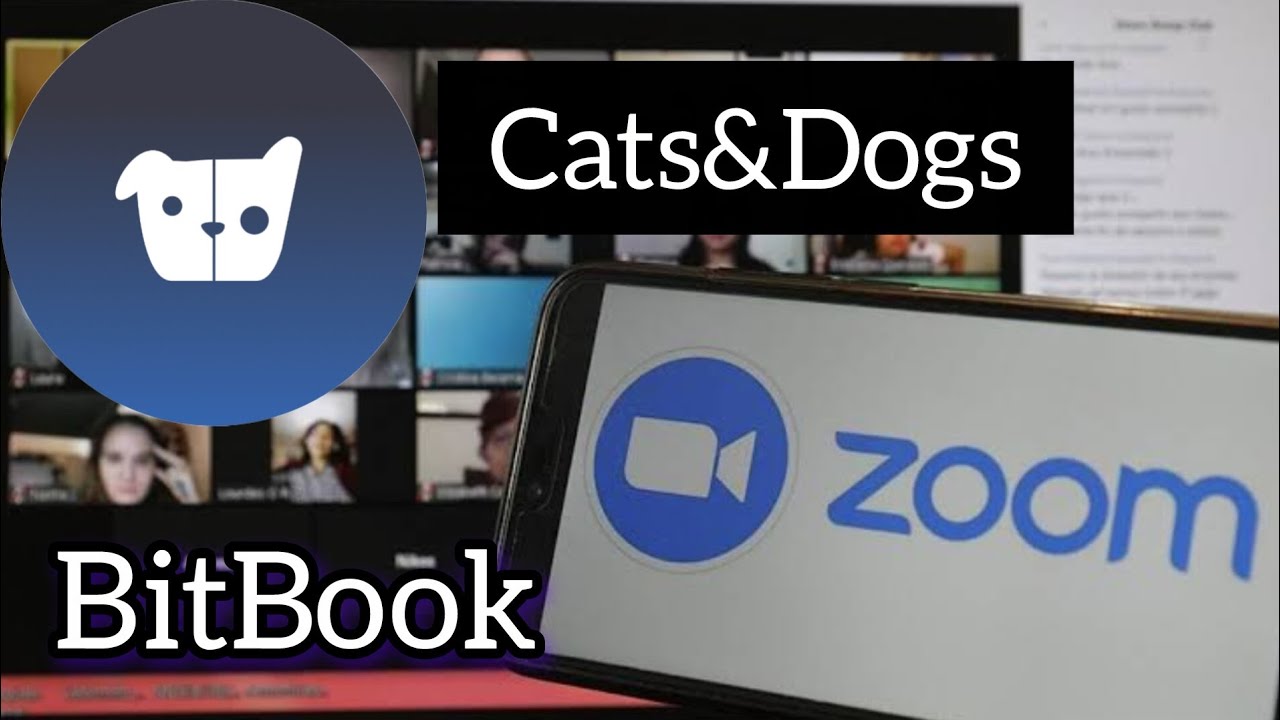 Встреча по $CATSDOGS и BitBook 