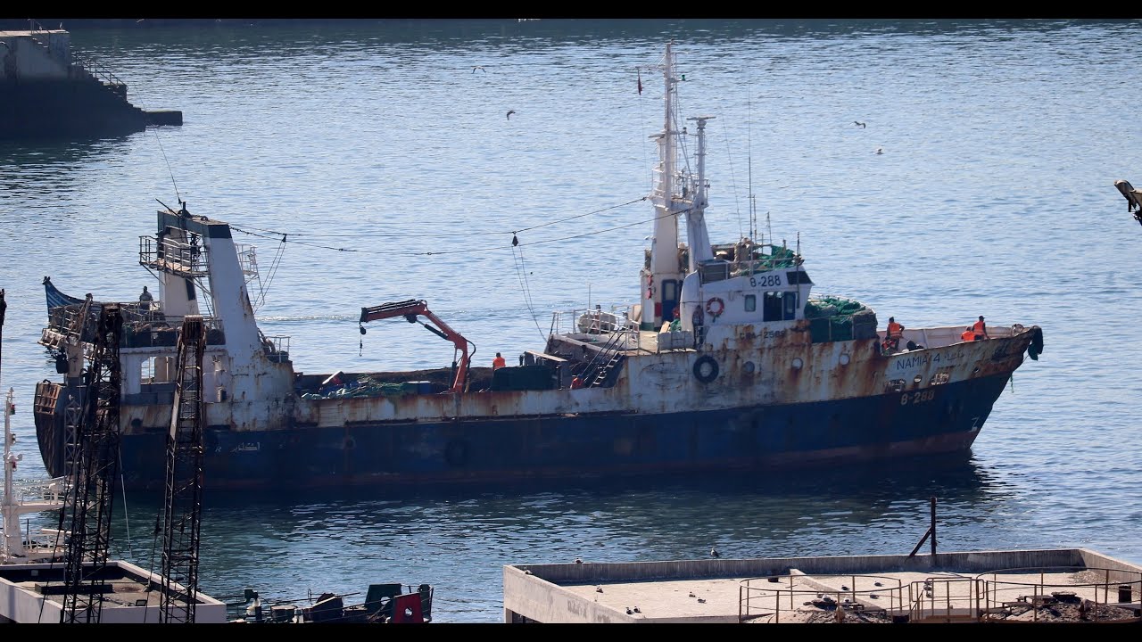 Quelles solutions pour la pêche hauturière? أي حلول للصيد في أعالي البحار؟