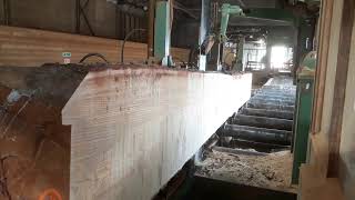 Milling the larch log