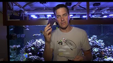 Mess Free Nori Feeding [Friday AM Quick Tip]