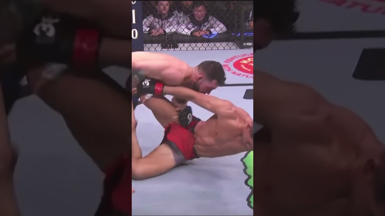 Bruno Silva Finishes Tyson Nam - Crazy Front kick to RNC 
