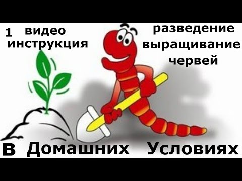 1. Инструкция выращивания червей в домашних условиях. Все секреты разведения дождевых червей. 1. Инструкция выращивания червей в домашних условиях. Все секреты разведения дождевых червей.