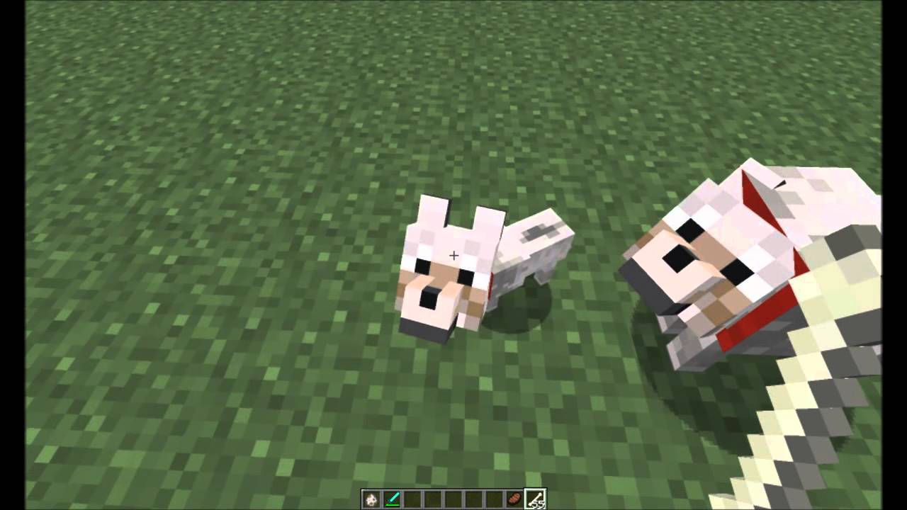 Minecraft - How to Breed Wolves in Pre-Release 12w03a (1.2+) - YouTube