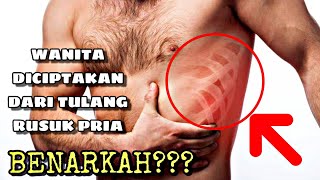 Fakta , Wanita Diciptakan dari Tulang Rusuk Pria ?